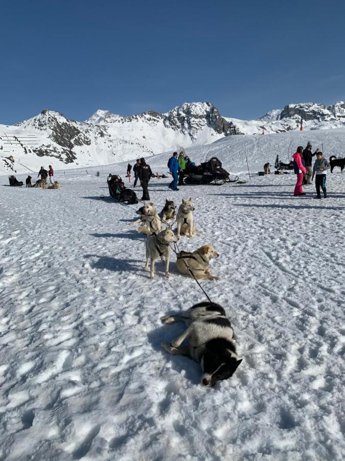 Bel Appartement Ski Aux Pieds Plagne Bellecote La Plagne Exteriér fotografie