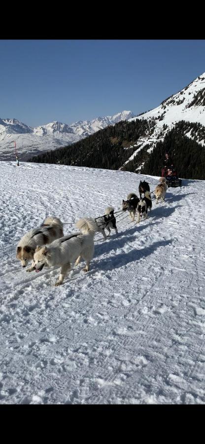 Bel Appartement Ski Aux Pieds Plagne Bellecote La Plagne Exteriér fotografie