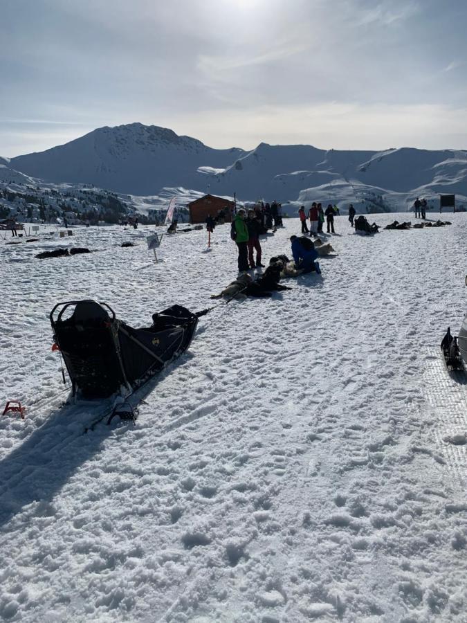 Bel Appartement Ski Aux Pieds Plagne Bellecote La Plagne Exteriér fotografie